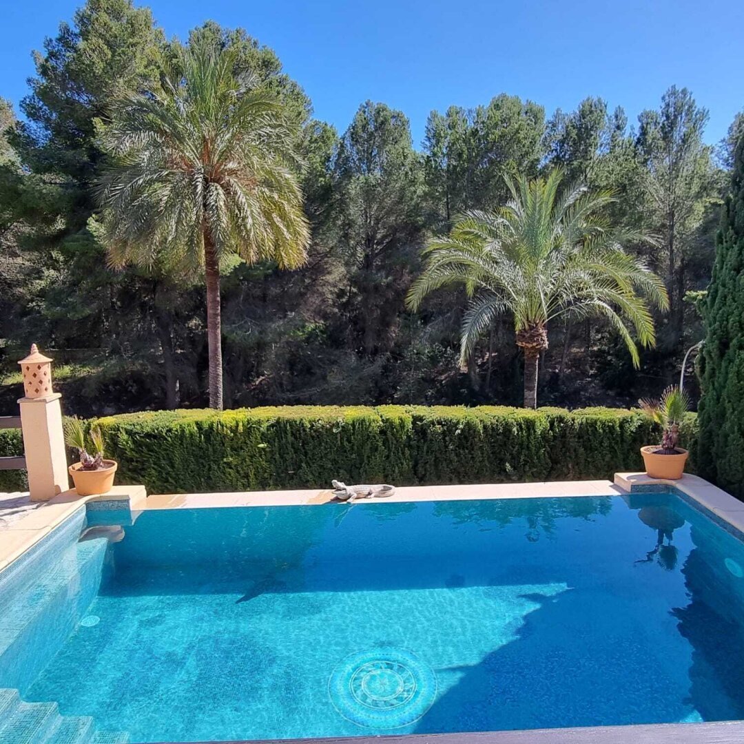 Costa de la Calma, Calvia, Balearic Islands 4 - 16423425