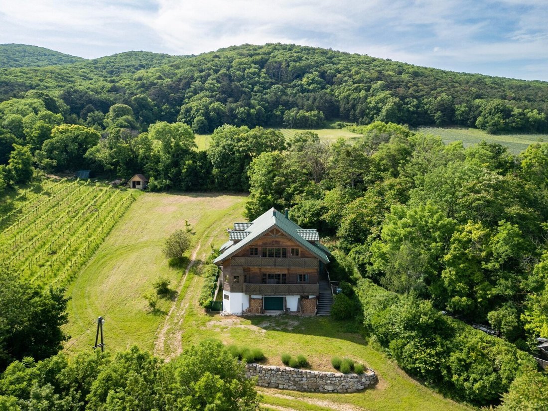 Country House in Gumpoldskirchen, Lower Austria, Austria 5 - 16427029