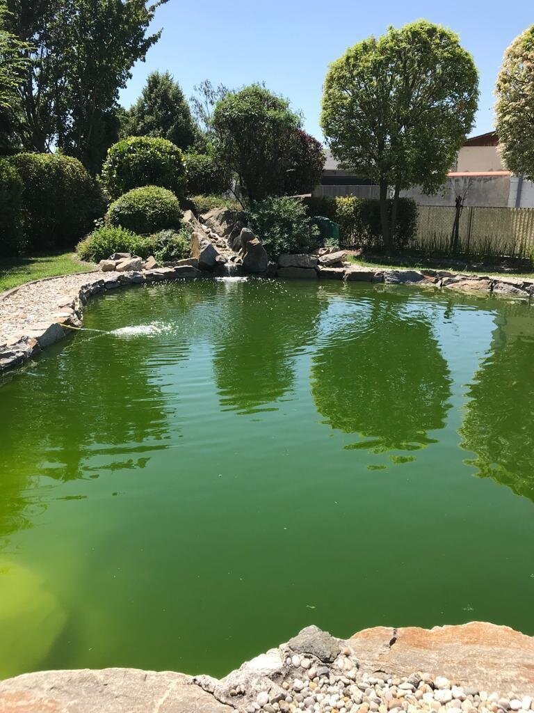Hadersdorf am Kamp, Lower Austria, Austria 4 - 17513389