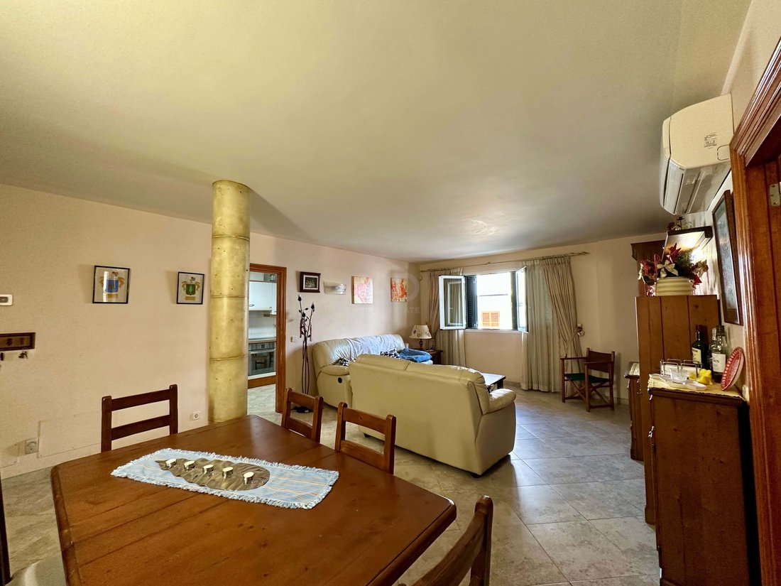 Apartment in Pollenca, Balearic Islands, Spain 5 - 15776960