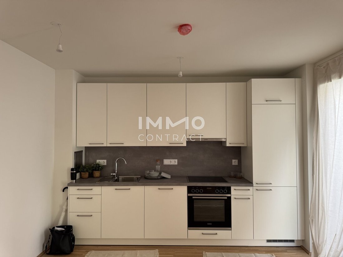 Apartment in Vienna, Wien, Austria 5 - 17037324