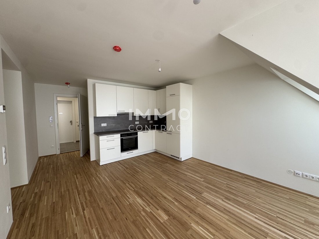 Penthouse in Vienna, Wien, Austria 2 - 17037304