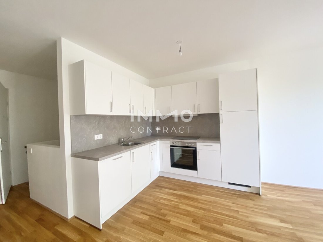 Apartment in Vienna, Vienna, Austria 5 - 17037327