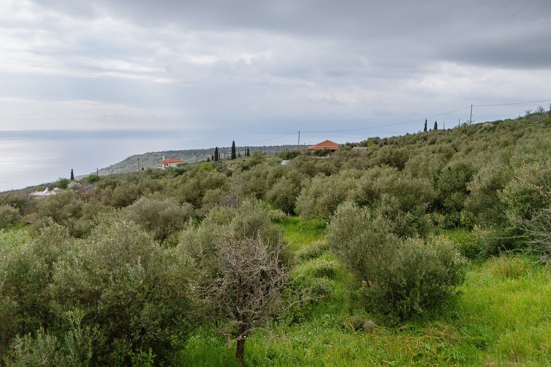 Land in Oitylos, Peloponnese, Western Greece and the Ionian, Greece 4 - 17538830
