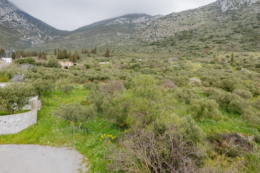 Land in Oitylos, Peloponnese, Western Greece and the Ionian, Greece 2 - 17538830