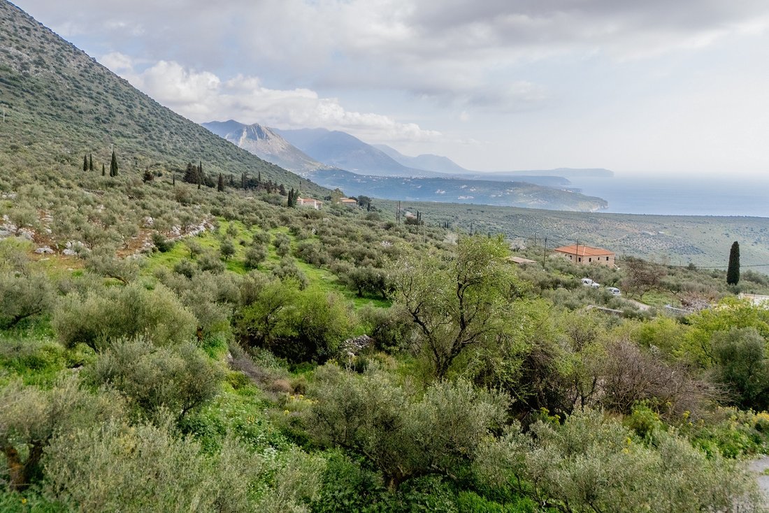 Land in Oitylos, Peloponnese, Western Greece and the Ionian, Greece 3 - 17538830