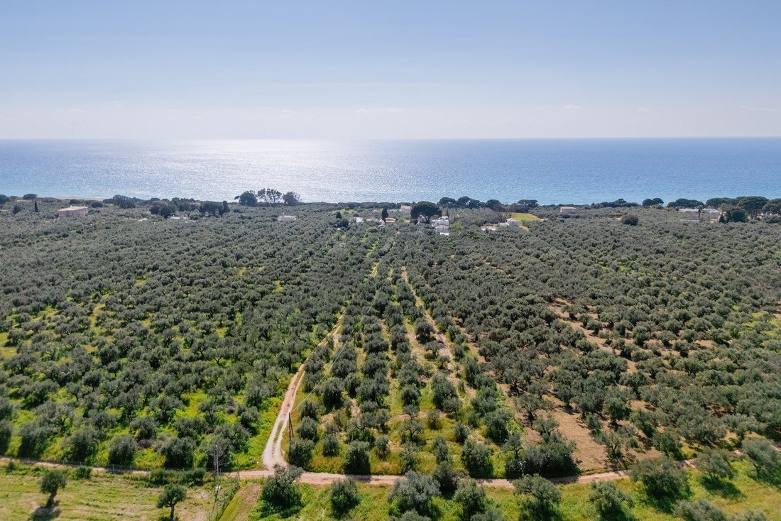 Land in Gargalianoi, Peloponnese, Western Greece and the Ionian, Greece 1 - 17538829