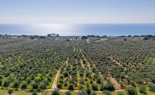 Terreno a Gargalianoi, Peloponnese, Western Greece and the Ionian, Grecia 1
