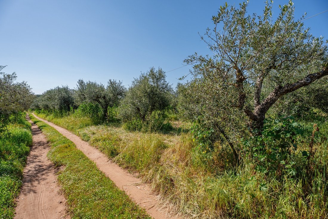 Land in Gargalianoi, Peloponnese, Western Greece and the Ionian, Greece 2 - 17538829