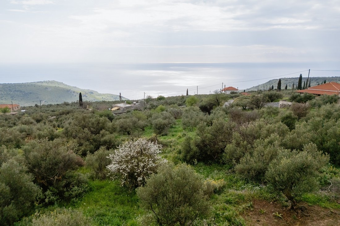 Land in Oitylos, Peloponnese, Western Greece and the Ionian, Greece 5 - 17538830