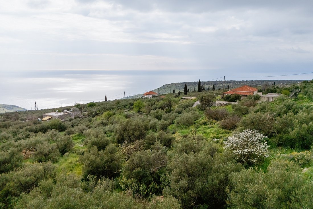 Land in Oitylos, Peloponnese, Western Greece and the Ionian, Greece 1 - 17538830
