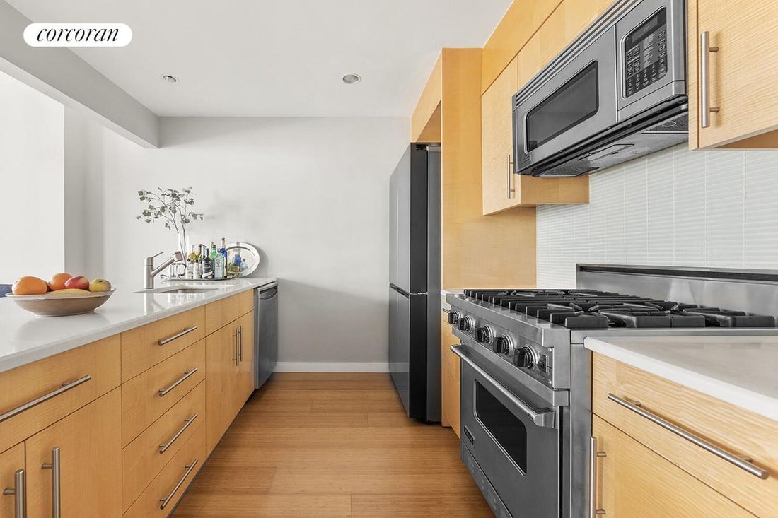 Condo in New York, New York, United States 3 - 17539460