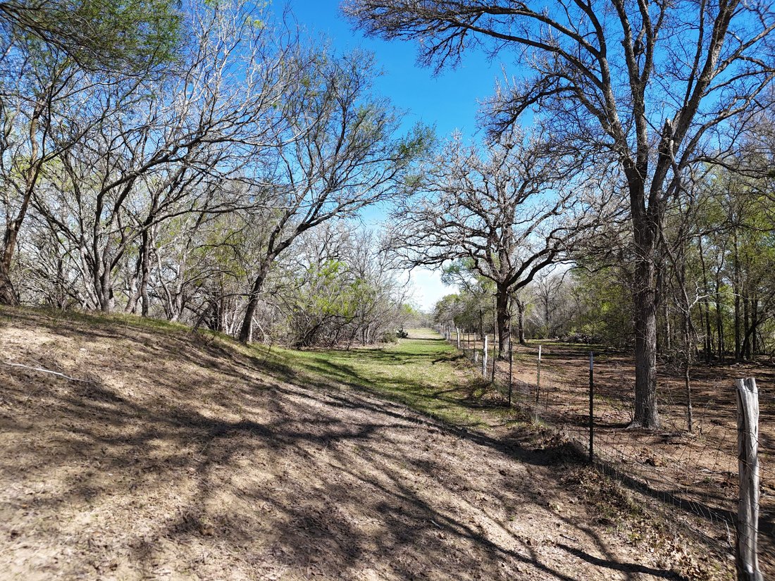 Farm Ranch in Gillett, Texas, United States 3 - 17539230