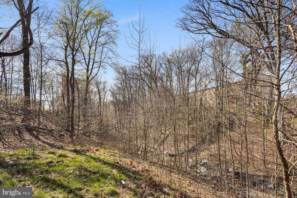 Land in Fort Washington, Maryland, United States 2 - 17453743