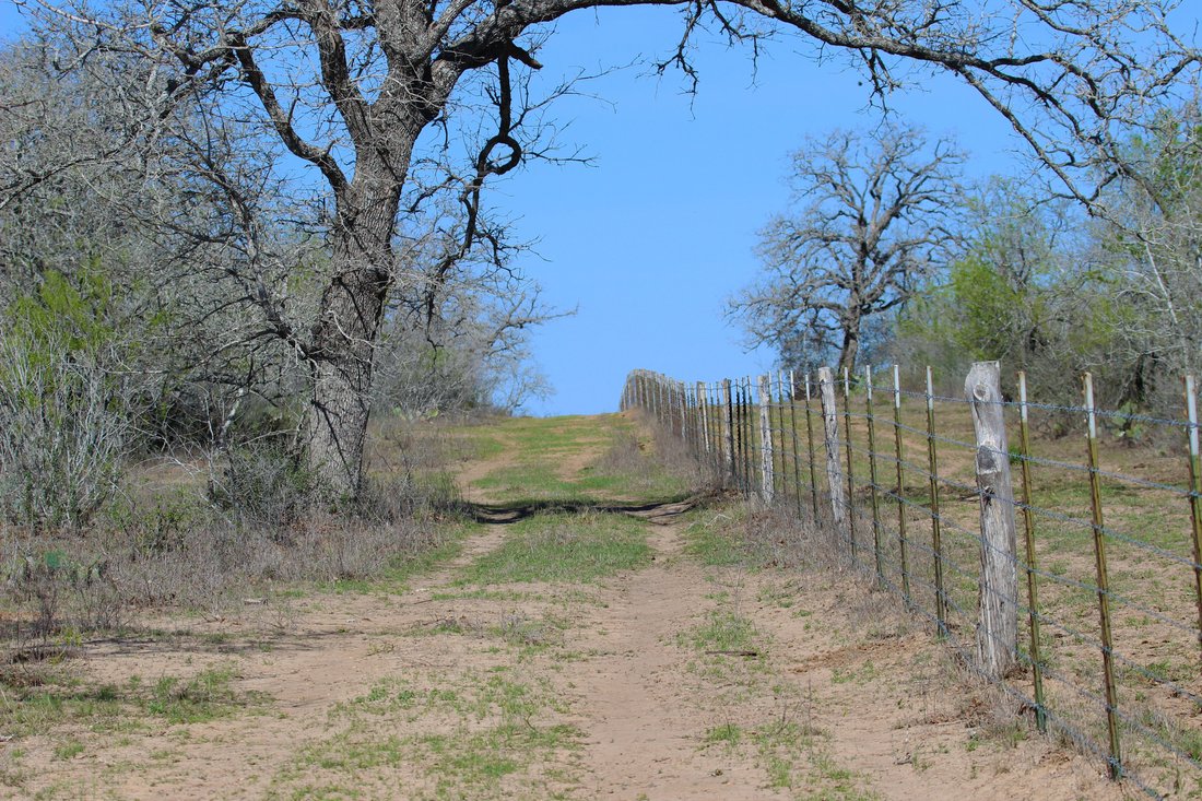 Farm Ranch in Gillett, Texas, United States 1 - 17539230