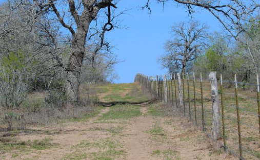 Farm Ranch in Gillett, Texas, United States 1