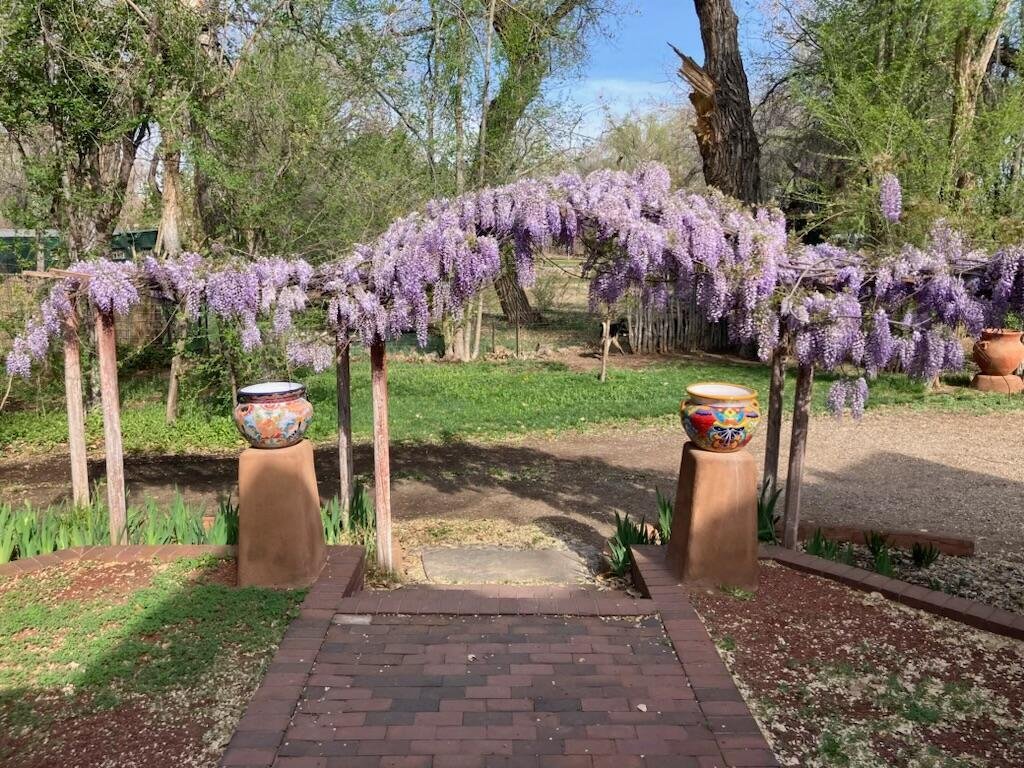 House in Corrales, New Mexico, United States 3 - 17370715