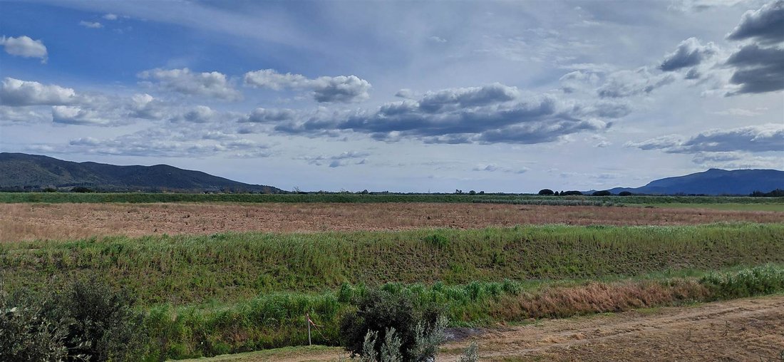 Andere in San Donato - Polverosa, Orbetello, Toskana 4 - 17544386