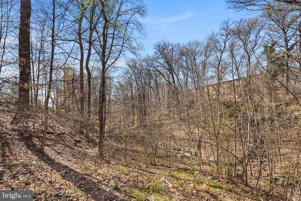 Land in Fort Washington, Maryland, United States 4 - 17453743