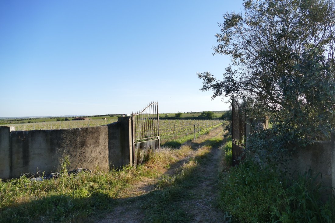 Finca in Cuba, Beja District, Portugal 3 - 17541603