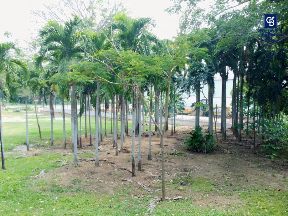 Land in Plutarco Elías Calles, Tabasco, Mexico 3 - 17542110