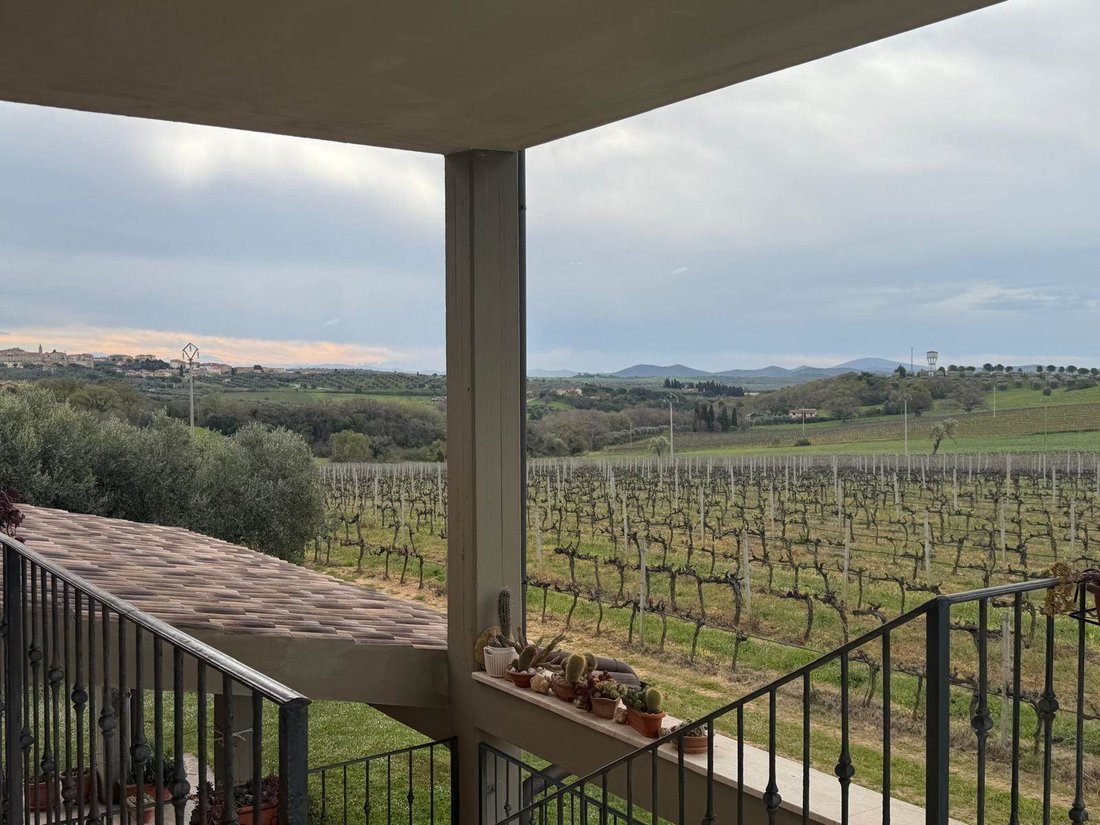Country House in Magliano in Toscana, Tuscany, Italy 3 - 17544374