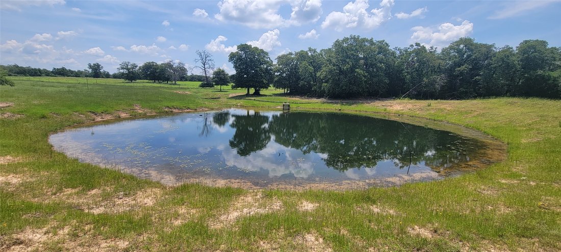 Land in Thorndale, Texas, United States 2 - 17540120
