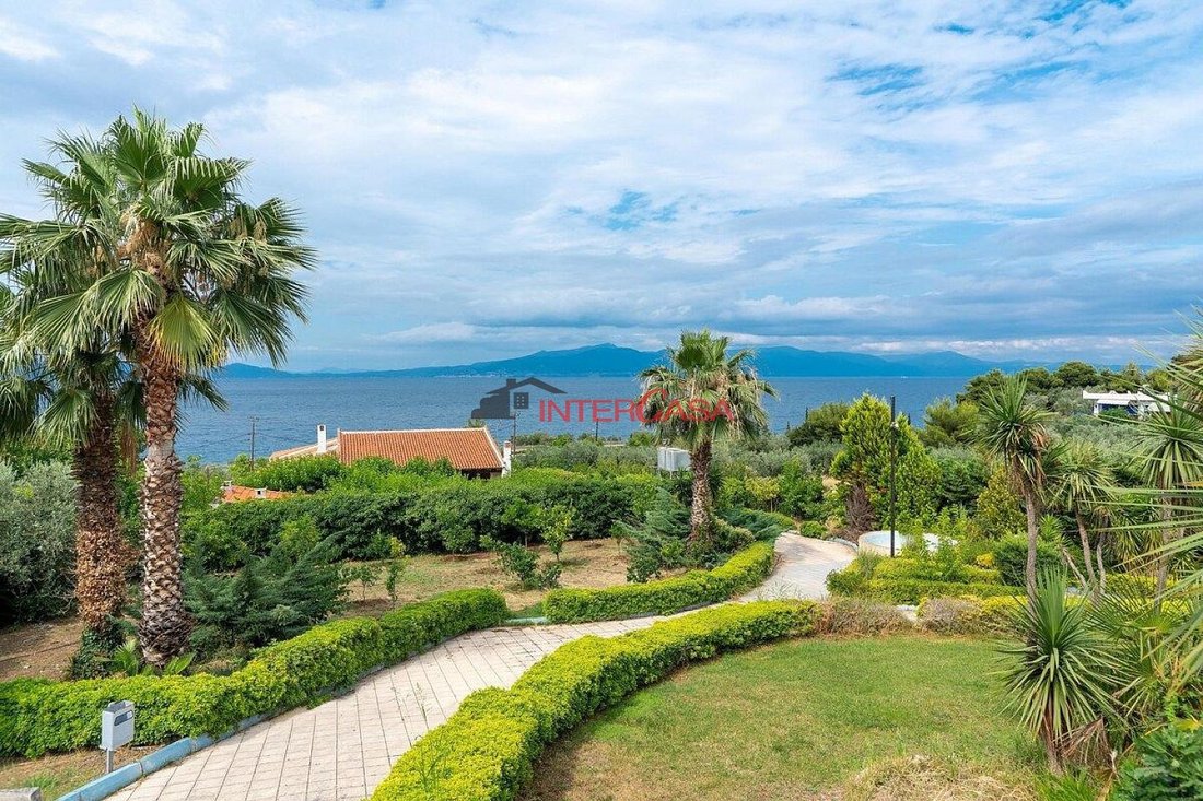 Villa in Koinotita Arkitsas, Dafnousia, Greece 5 - 17542161