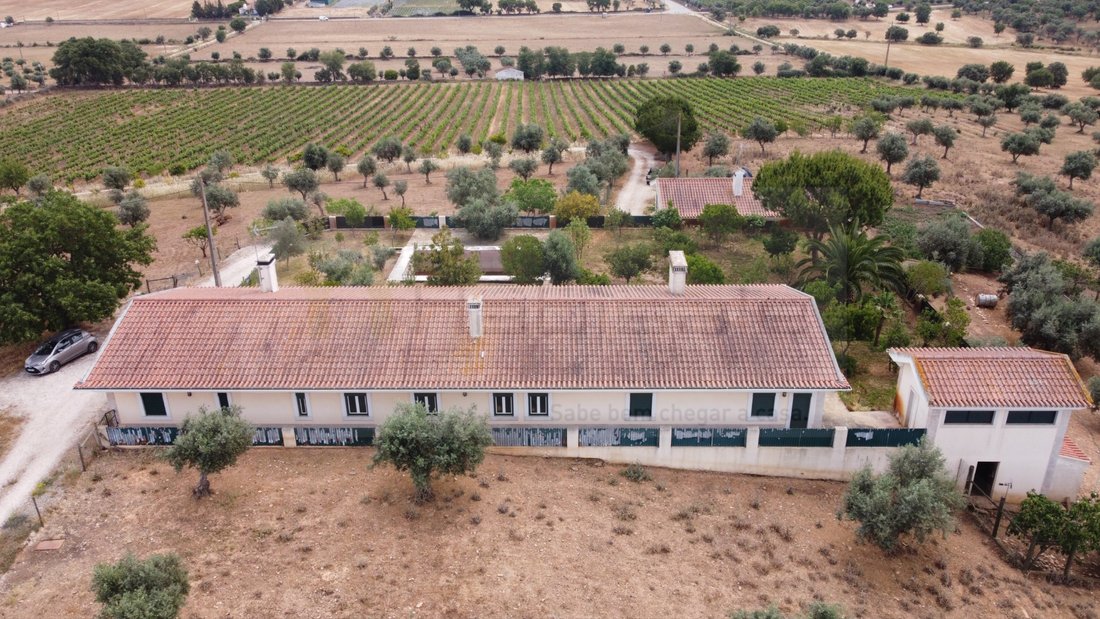 Estate in Estremoz (Santa Maria e Santo Andre), Évora District, Portugal 3 - 17541969