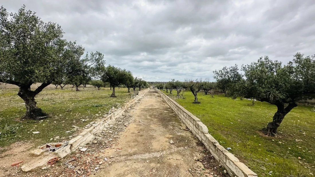 Land in Hammam Sousse, Sousse, Tunisia 1 - 16662431