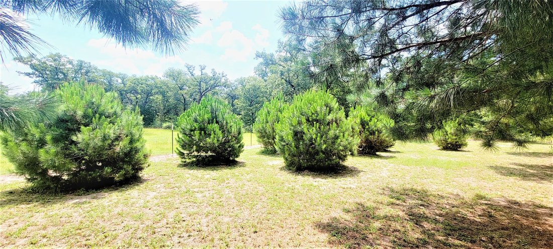 Land in Thorndale, Texas, United States 4 - 17540120