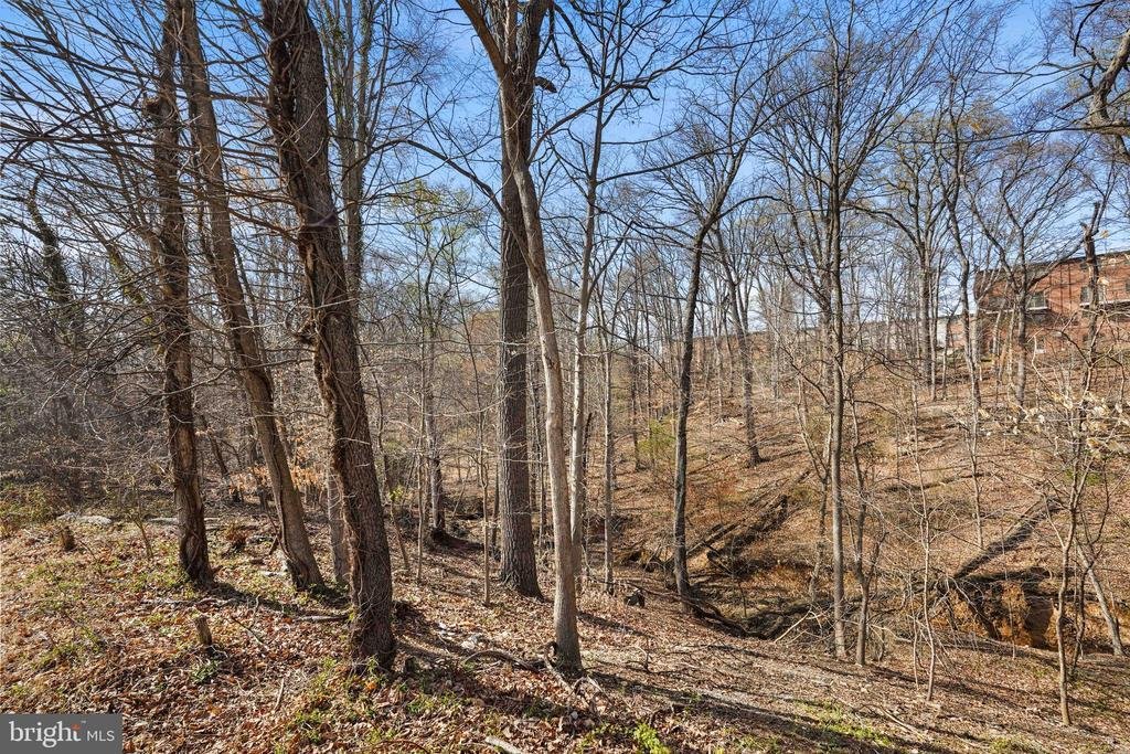 Land in Fort Washington, Maryland, United States 3 - 17453743
