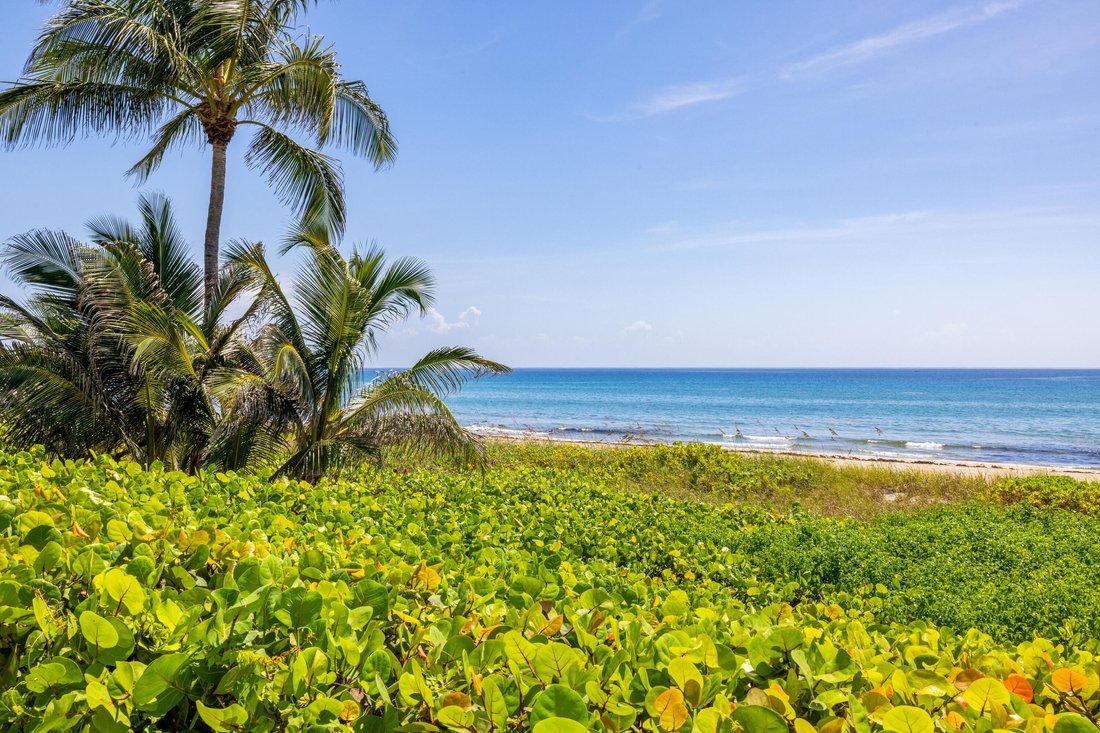 House in Delray Beach, Florida, United States 2 - 17543773