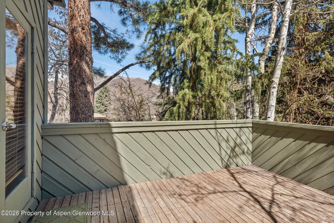 House in Aspen, Colorado, United States 4 - 17541171