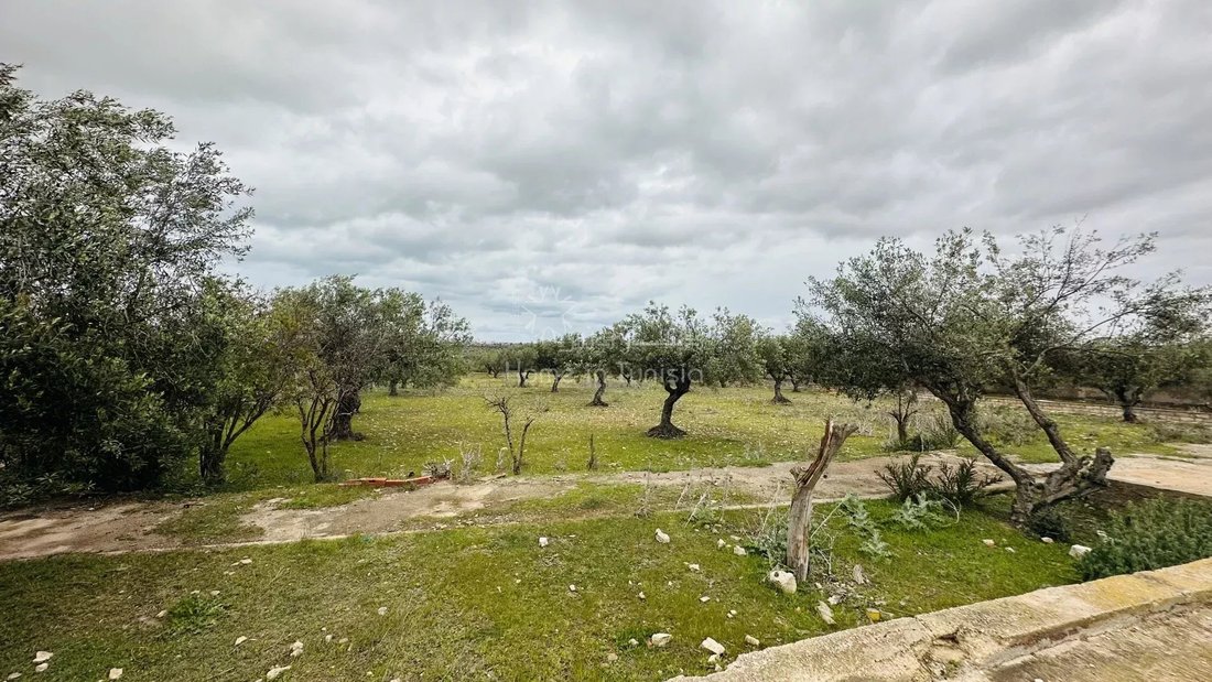 Land in Hammam Sousse, Sousse, Tunisia 2 - 16662431