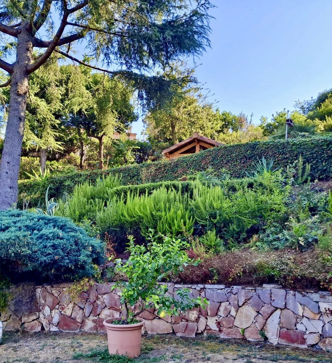 House in Menton, Provence-Alpes-Côte d'Azur, France 5 - 17544481
