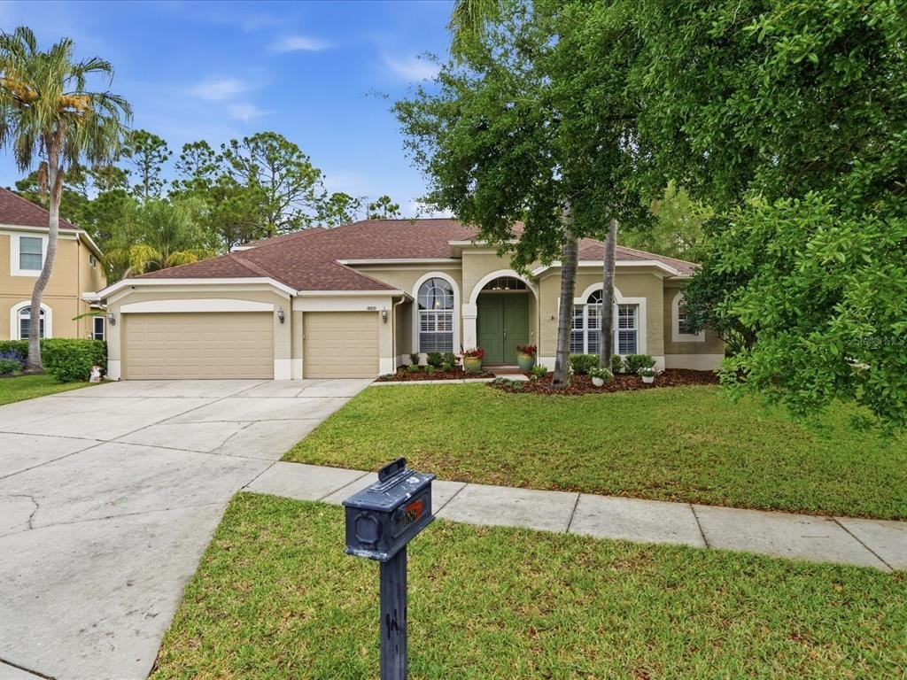 House in Land O' Lakes, Florida, United States 1 - 17538860