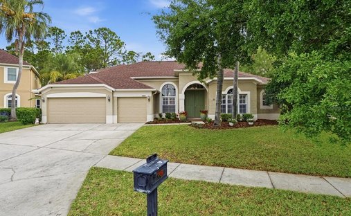 Casa en Land O' Lakes, Florida, Estados Unidos 1