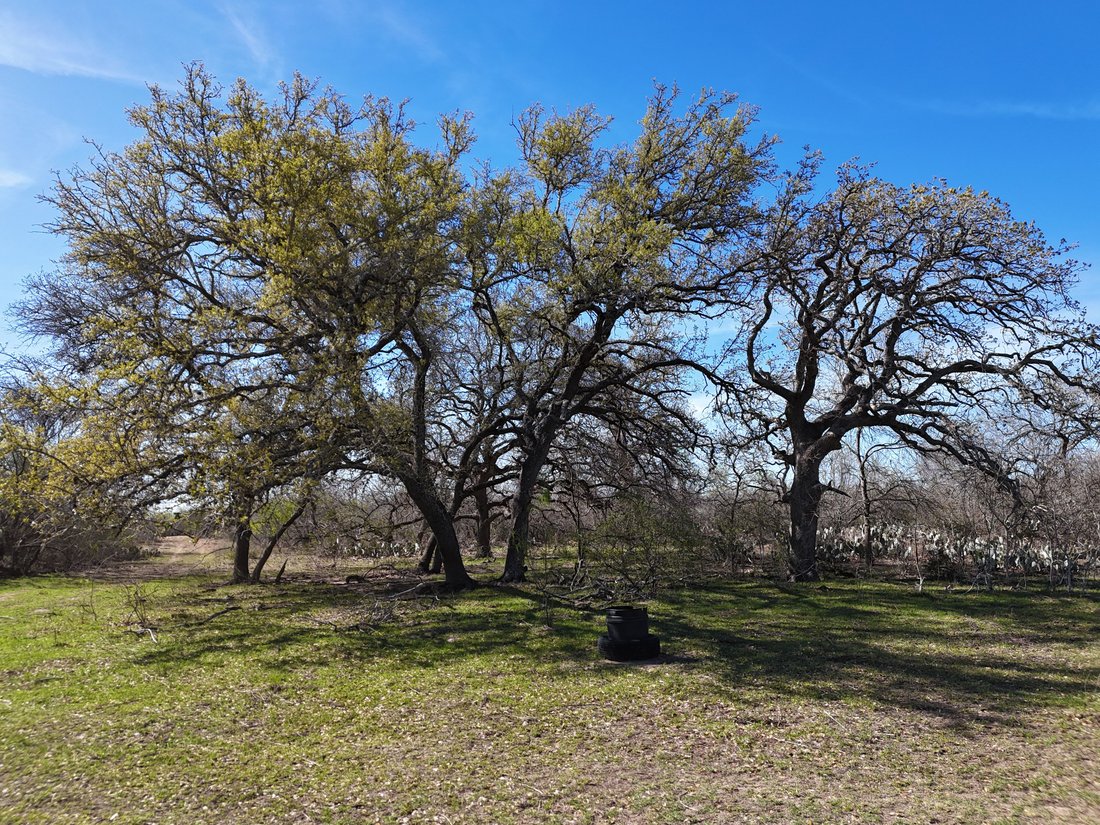 Farm Ranch in Gillett, Texas, United States 4 - 17539230