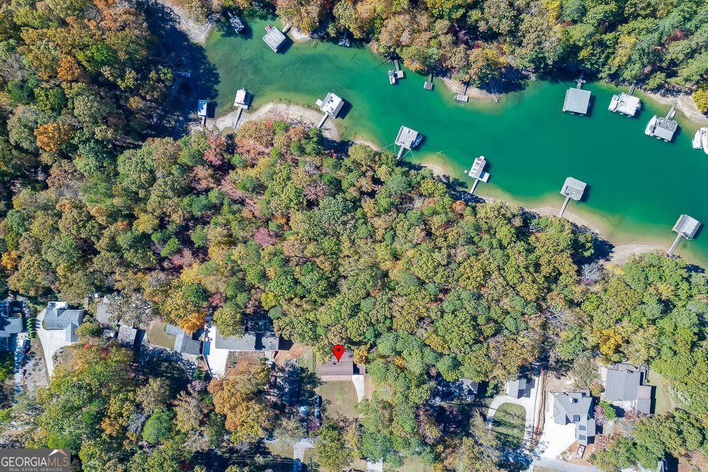 House in Buford, Georgia, United States 3 - 17540463
