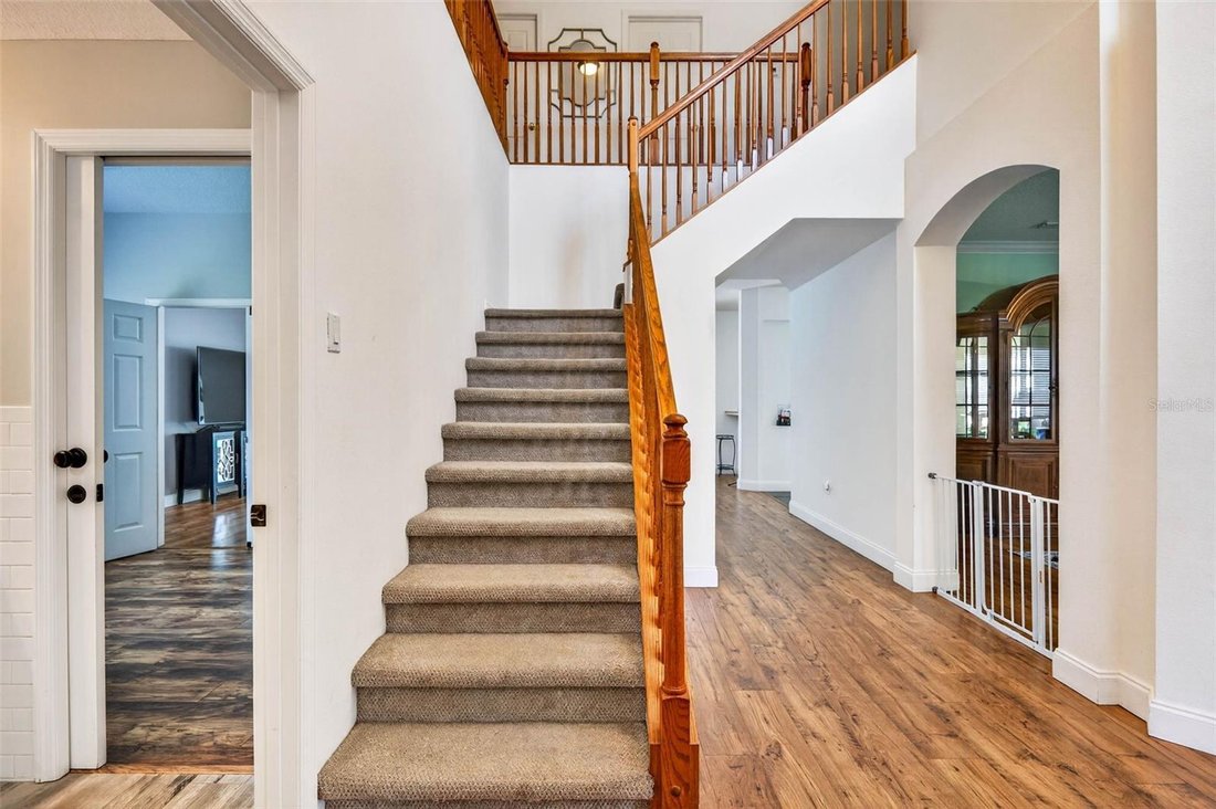 House in Land O' Lakes, Florida, United States 4 - 17543913