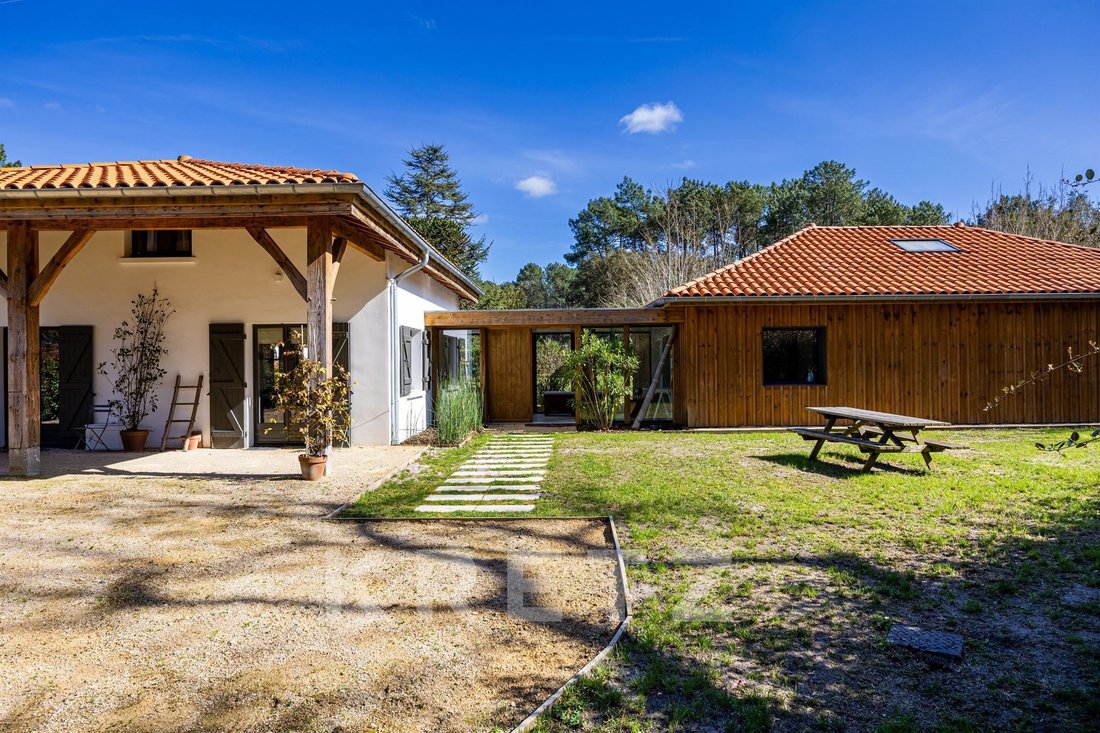 Villa in Moliets-et-Maa, Nouvelle-Aquitaine, France 4 - 17540858