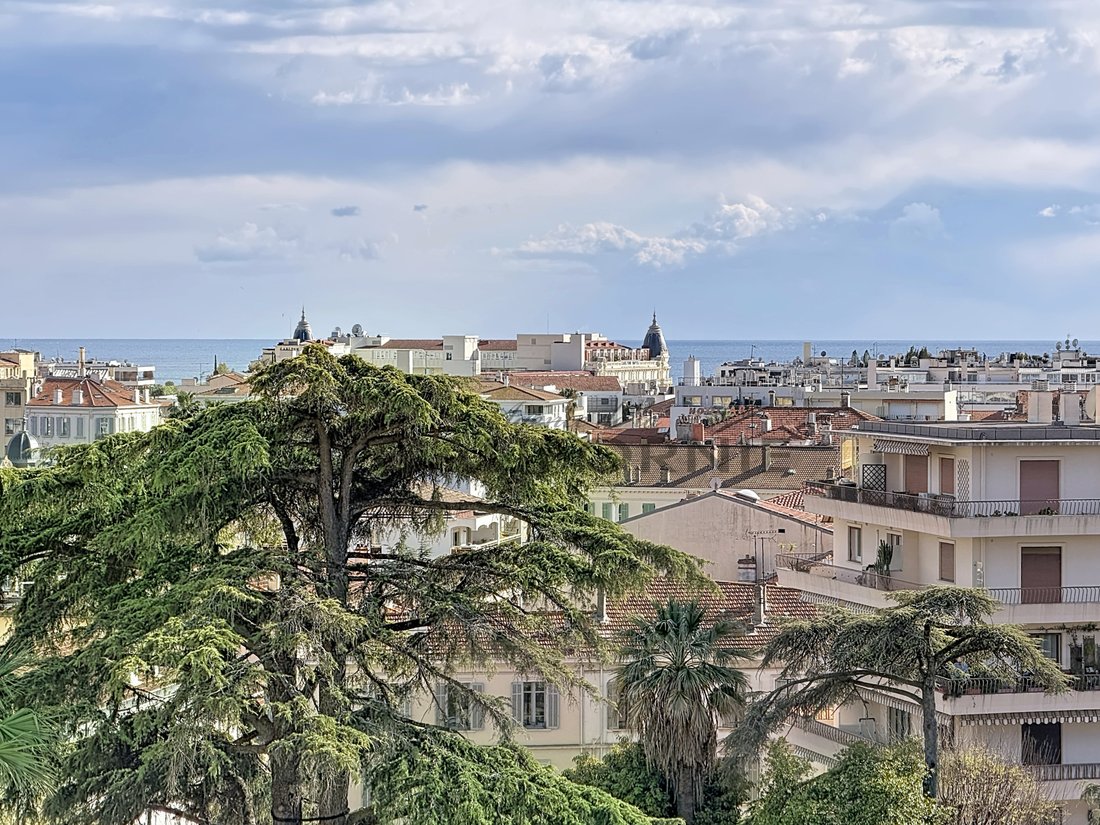 Apartment in Cannes, Provence-Alpes-Côte d'Azur, France 1 - 16334023