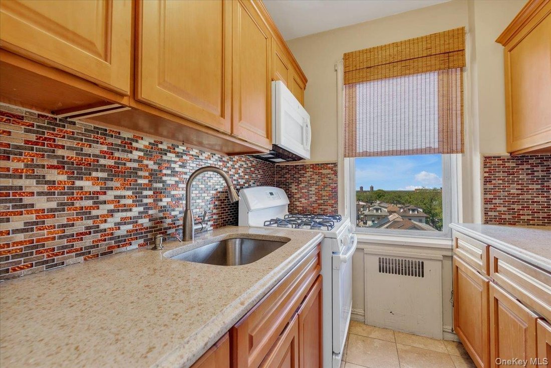 Cooperativa a Jamaica Hills, New York, Stati Uniti 3 - 17541140