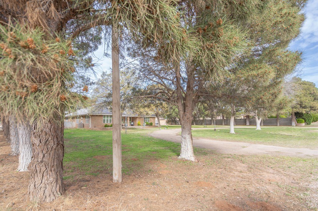 House in Andrews, Texas, United States 2 - 17539495