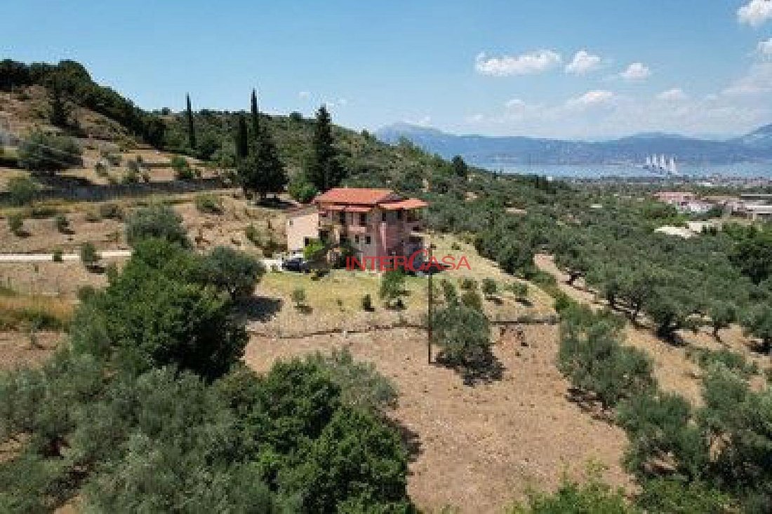 House in Kato Kastritsi Community, Peloponnese, Western Greece and the Ionian, Greece 3 - 17542343