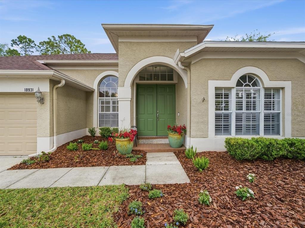 House in Land O' Lakes, Florida, United States 5 - 17538860