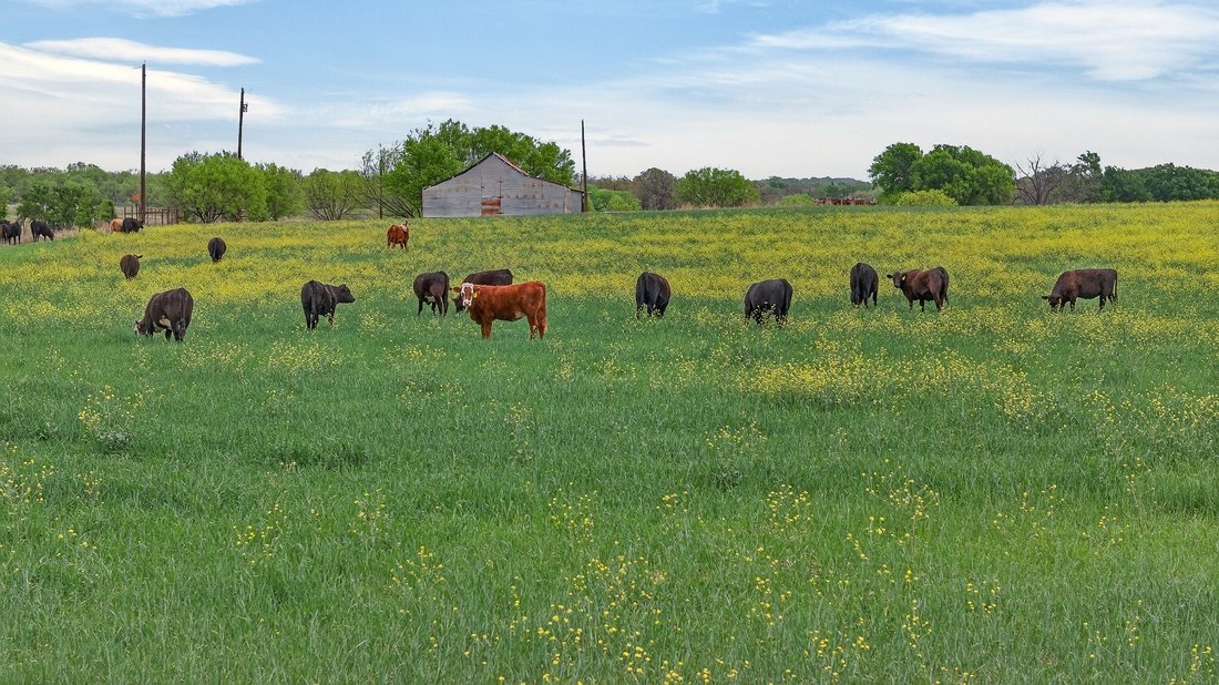 Land in Granbury, Texas, United States 3 - 17540177