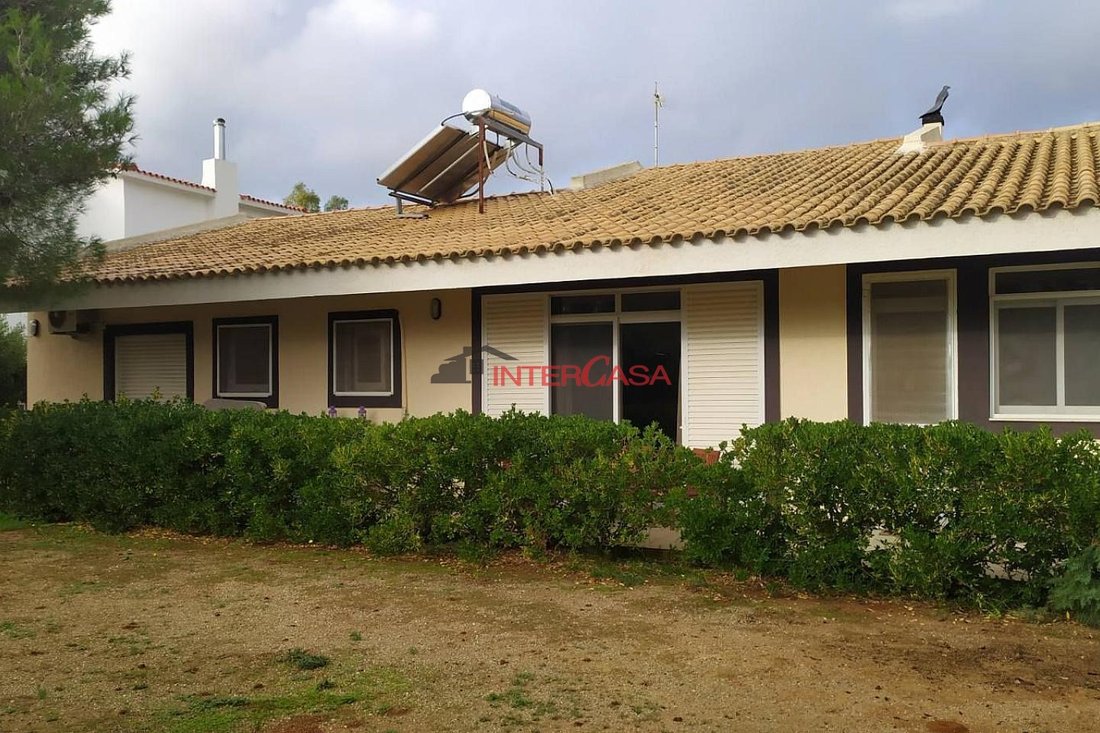 House in Palea Fokea, Attica, Greece 4 - 17542232