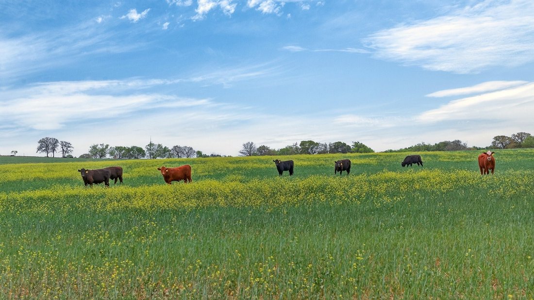 Land in Granbury, Texas, United States 4 - 17540177